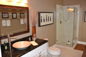 Frameless Shower Doors